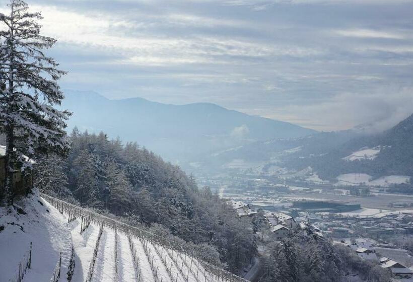 Апартаменты 1 Спальня с Видом, Buehlerhof Agriturismo, Obst &weingut, Urlaub Mit Hund, Pferde, Bauernhof, Brixen