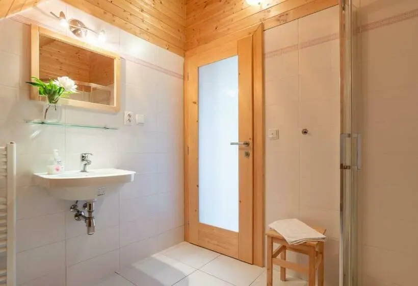 Appartamento 1 Camera da Letto, Cedrový Penzion