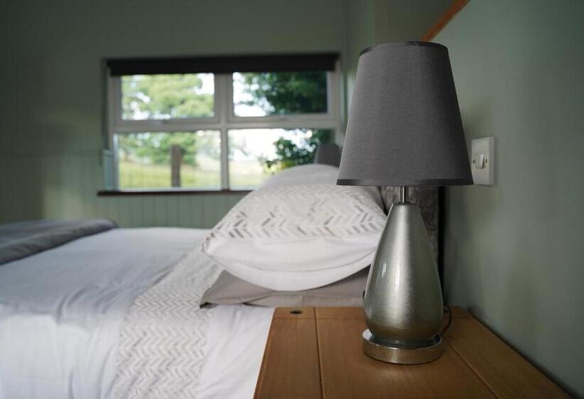 Номер Deluxe, Mountainview