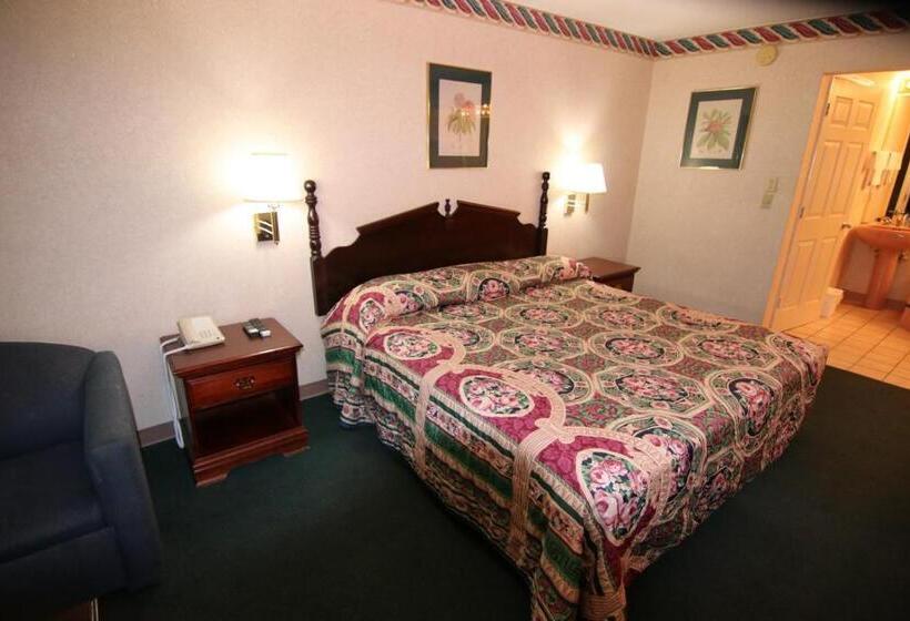 חדר סטנדרט עם מיטת קינג, Executive Inn Kershaw