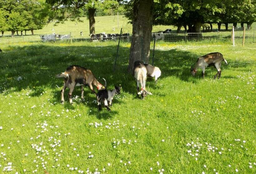 デラックスルーム, L Ostrale