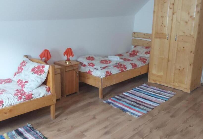 חדר קלאסי לשלושה, Pensiunea Schilacy