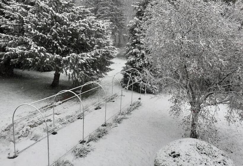 Habitació Superior, Manoir De Camblain