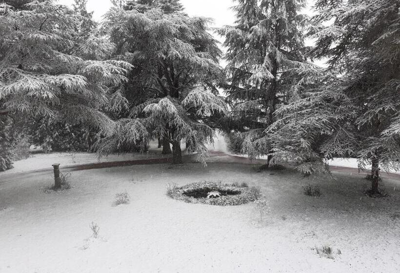 Habitació Superior, Manoir De Camblain