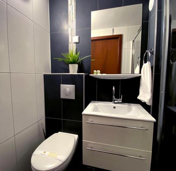 غرفة قياسية, Vi Li Panzió