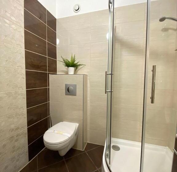 غرفة عائلية, Vi Li Panzió