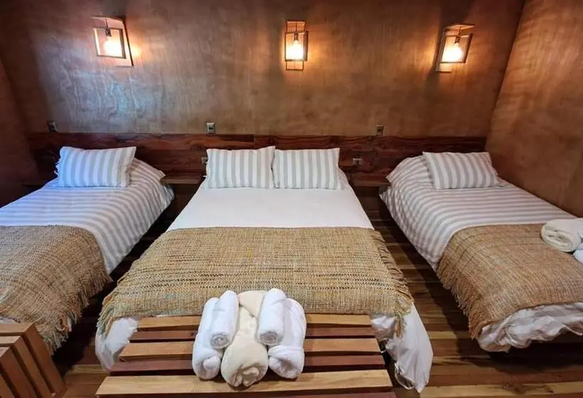 スタンダード４人部屋, Illi Lodge & Hostel