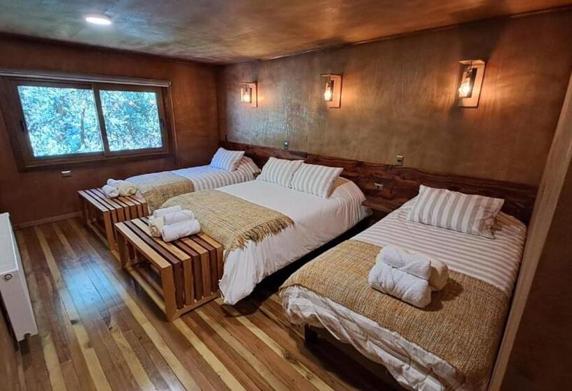 غرفة قياسية رباعية, Illi Lodge & Hostel