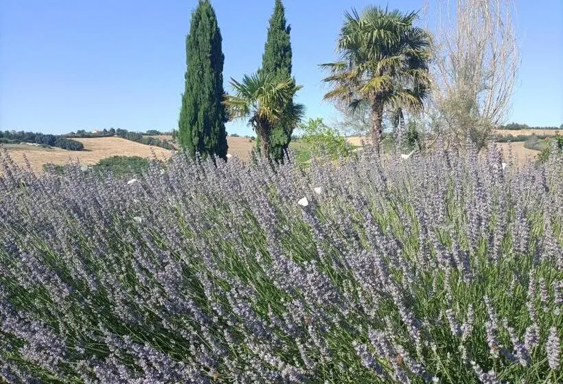 プールの見える１ベッドルームアパートメント, Casale Il Girasole