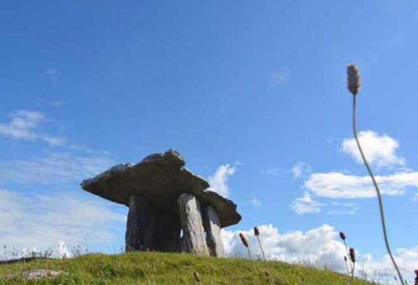 Четырехместный Номер Стандарт, Into The Burren