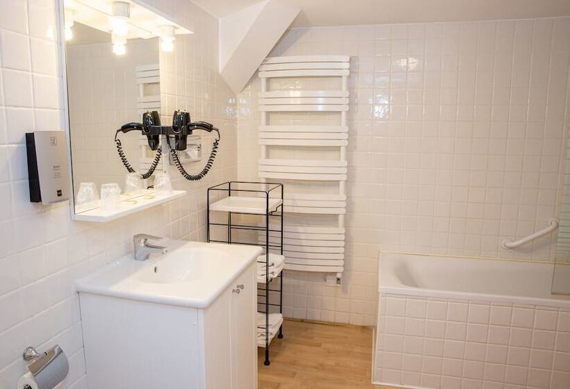 Апартаменты 1 Спальня, Appart Hotel Charles Sander