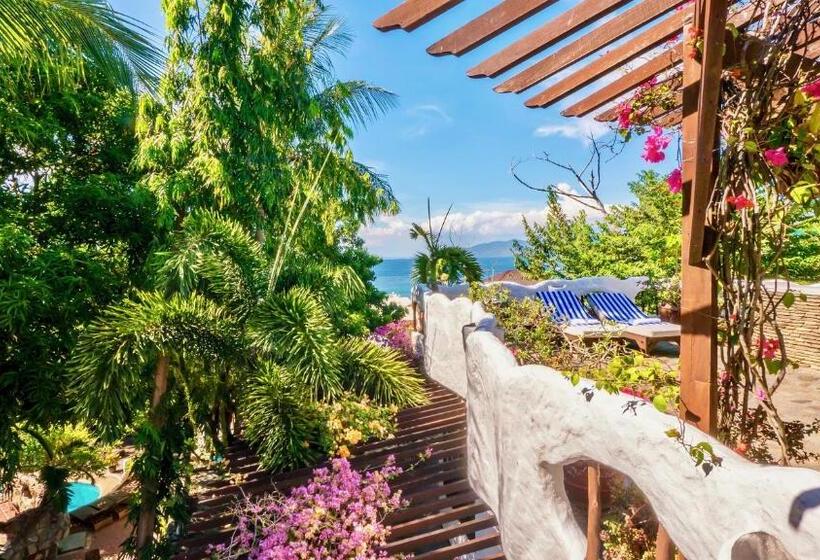 수피리어 테라스 룸, Atlantis Dive Resort Puerto Galera