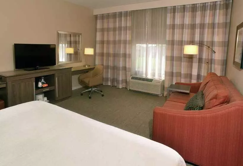 キングサイズベッドのスタンダードルーム, Hampton Inn Marion