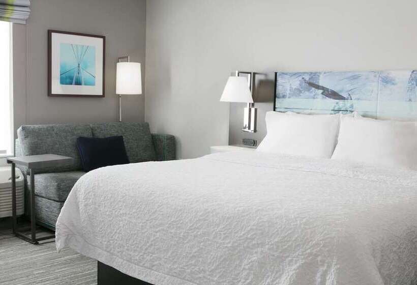 스탠다드 룸 킹사이즈 침대, Hampton Inn Marion