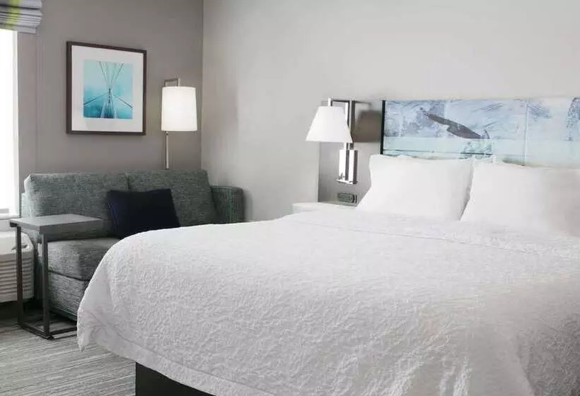キングサイズベッドのスタンダードルーム, Hampton Inn Marion