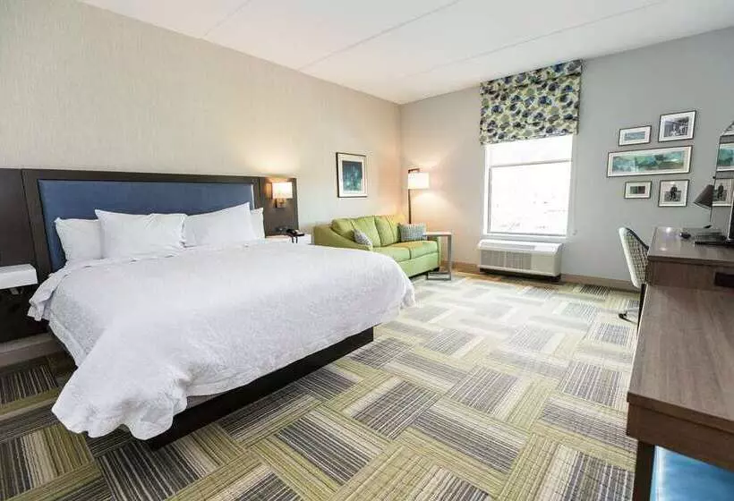 キングサイズベッドのスタンダードルーム, Hampton Inn Marion