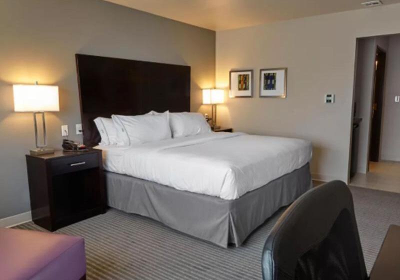 اتاق استاندارد با تخت بزرگ برای معلولان, Holiday Inn Express And Suites Tahlequah, An Ihg