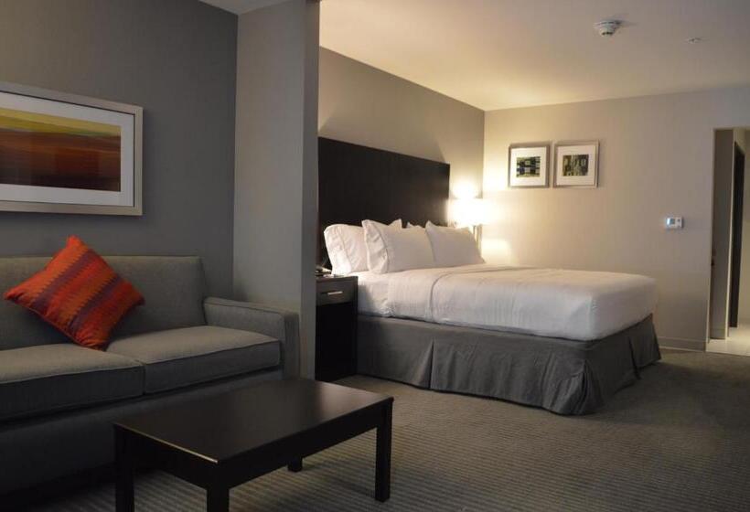 سوئیت اجرایی با تخت کینگ, Holiday Inn Express And Suites Tahlequah, An Ihg