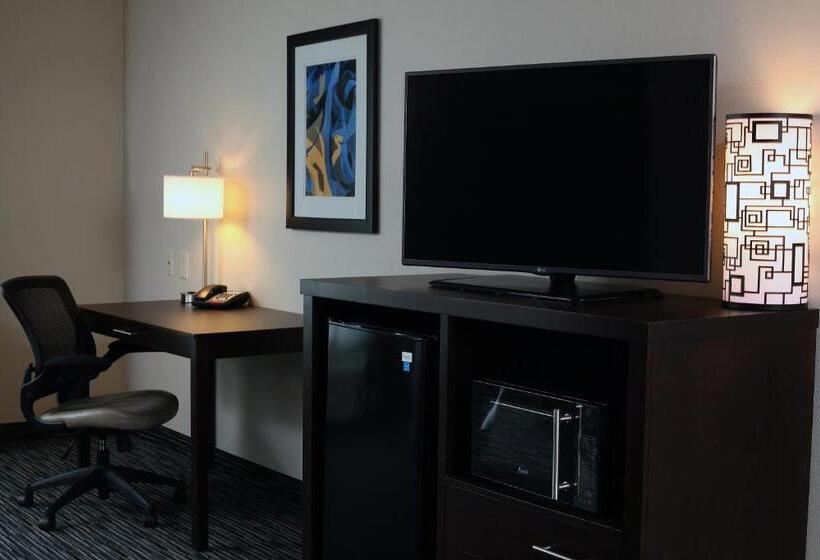 غرفة قياسية سرير كينج لذوى الإحتياجات الخاصة, Holiday Inn Express & Suites Omaha South Ralston Arena, An Ihg
