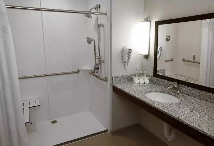 身障者適用キングサイズベッドルーム, Holiday Inn Express & Suites Omaha South Ralston Arena, An Ihg