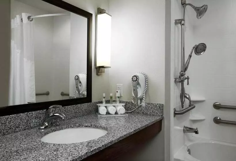 身障者適用スタンダードルーム, Holiday Inn Express & Suites Omaha South Ralston Arena, An Ihg