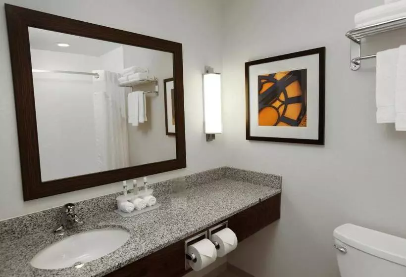 身障者適用スタンダードルーム, Holiday Inn Express & Suites Omaha South Ralston Arena, An Ihg