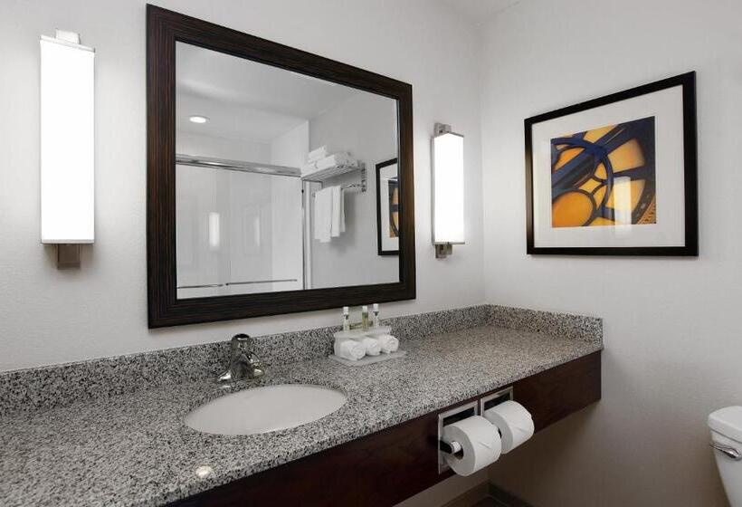 Студио Стандарт Кровать Кинг, Holiday Inn Express & Suites Omaha South Ralston Arena, An Ihg