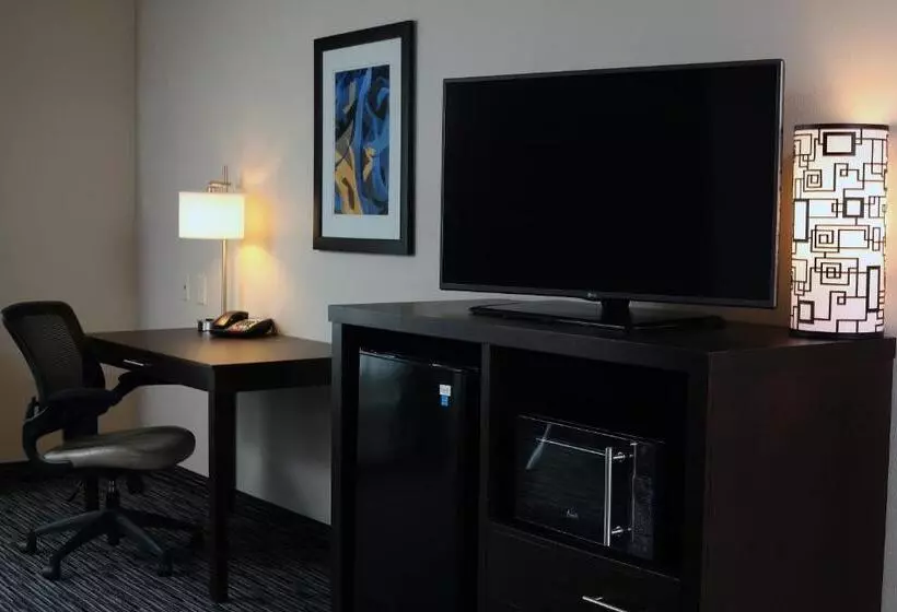 身障者適用スイートルーム, Holiday Inn Express & Suites Omaha South Ralston Arena, An Ihg