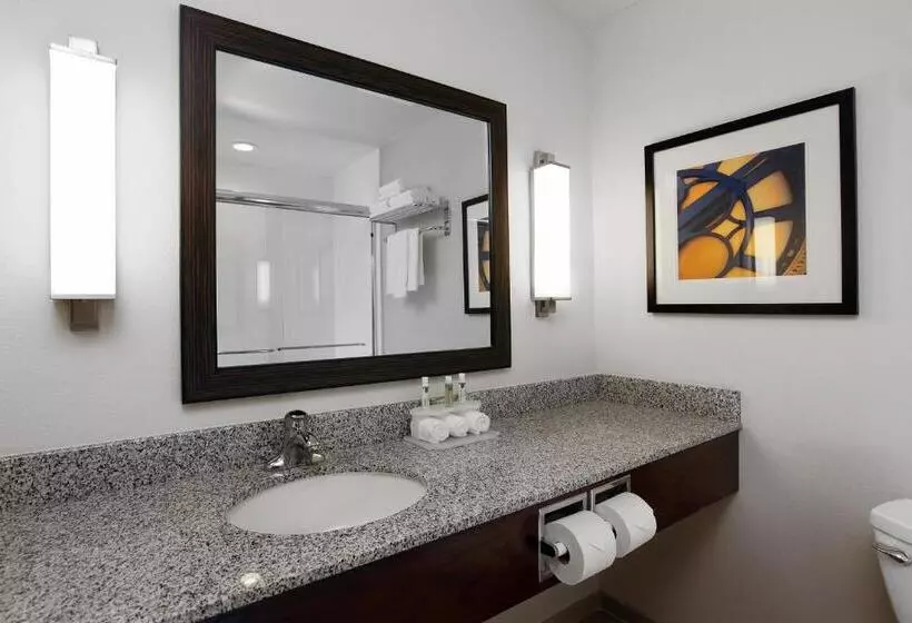 身障者適用スイートルーム, Holiday Inn Express & Suites Omaha South Ralston Arena, An Ihg