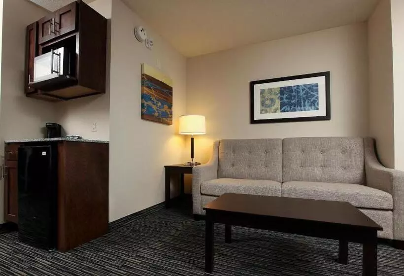 身障者適用スイートルーム, Holiday Inn Express & Suites Omaha South Ralston Arena, An Ihg