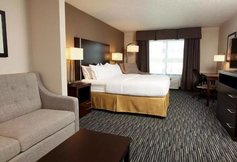 身障者適用スイートルーム, Holiday Inn Express & Suites Omaha South Ralston Arena, An Ihg