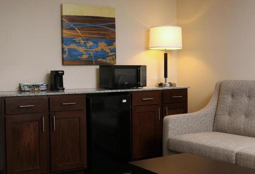 Люкс Адаптированный для Инвалидов, Holiday Inn Express & Suites Omaha South Ralston Arena, An Ihg