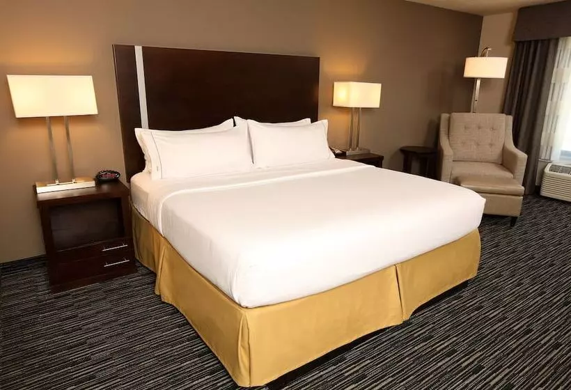スタンダードルーム, Holiday Inn Express & Suites Omaha South Ralston Arena, An Ihg