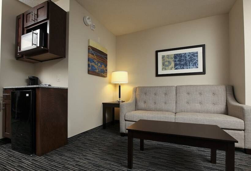 جناح لذوى الاحتياجات الخاصة, Holiday Inn Express & Suites Omaha South Ralston Arena, An Ihg