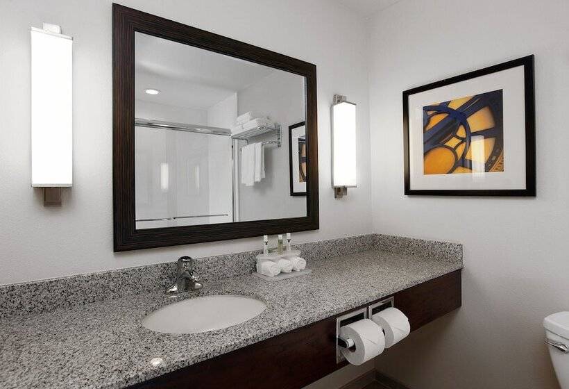 جناح لذوى الاحتياجات الخاصة, Holiday Inn Express & Suites Omaha South Ralston Arena, An Ihg