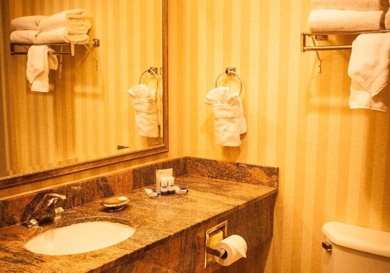 Номер Стандарт, Holiday Inn Express & Suites Raymondville By Ihg