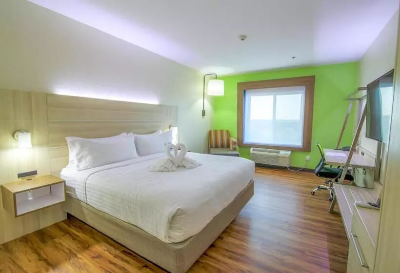 キングサイズベッドのデラックスルーム, Holiday Inn Express & Suites Raymondville By Ihg