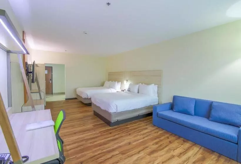 スイート, Holiday Inn Express & Suites Raymondville By Ihg