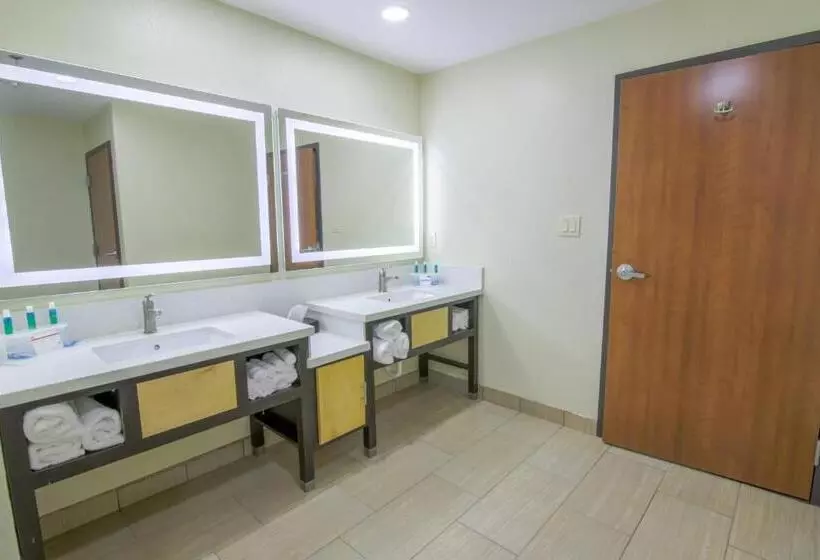 プレジデントスイートルーム, Holiday Inn Express & Suites Raymondville By Ihg