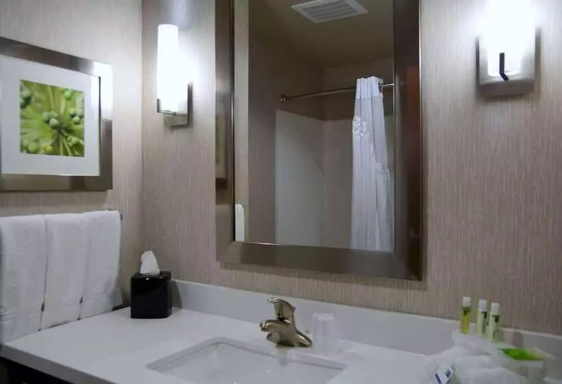 身障者適用スイートルーム, Holiday Inn Express Tomball, An Ihg