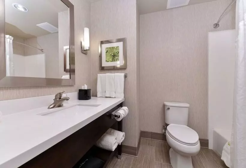 身障者適用スイートルーム, Holiday Inn Express Tomball, An Ihg