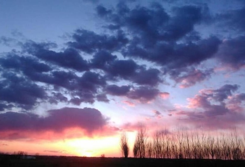 スタンダードルーム, Mirandola