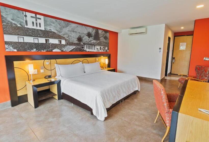 带大床的标准间, Sonesta Hotel Pereira