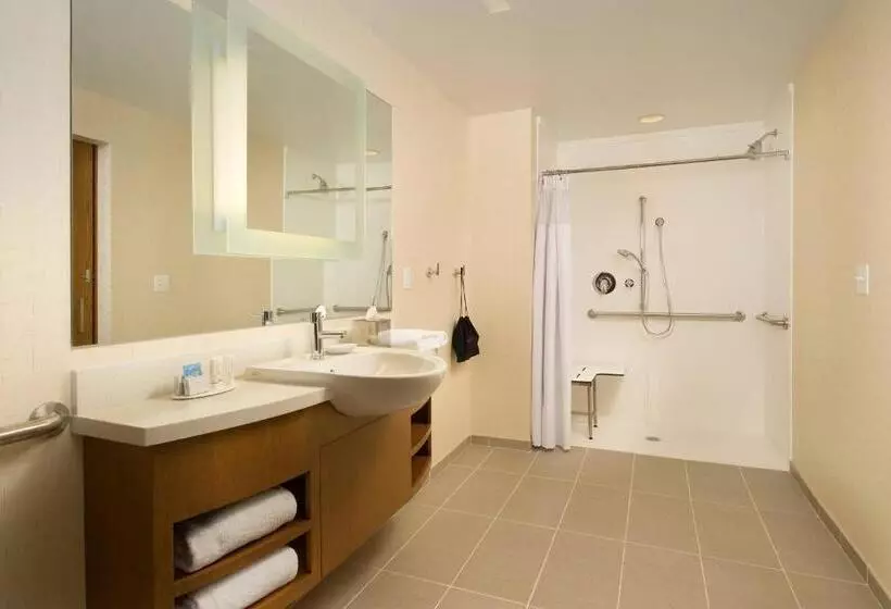 キングサイドベッドのスタンダードワンルーム, Springhill Suites By Marriott Bridgeport Clarksburg