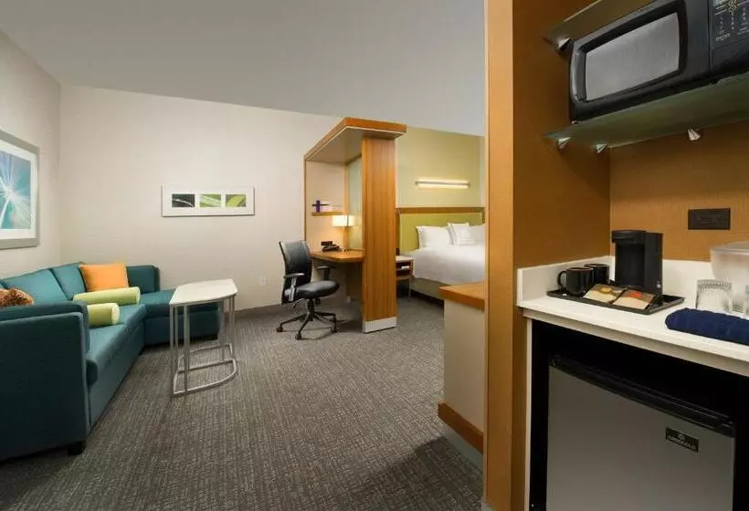 キングサイドベッドのスタンダードワンルーム, Springhill Suites By Marriott Bridgeport Clarksburg