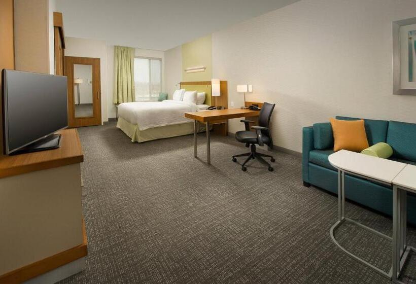 إستوديو قياسى سرير كينج, Springhill Suites By Marriott Bridgeport Clarksburg