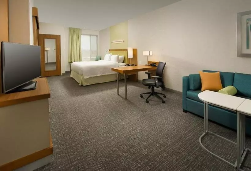 キングサイドベッドのスタンダードワンルーム, Springhill Suites By Marriott Bridgeport Clarksburg