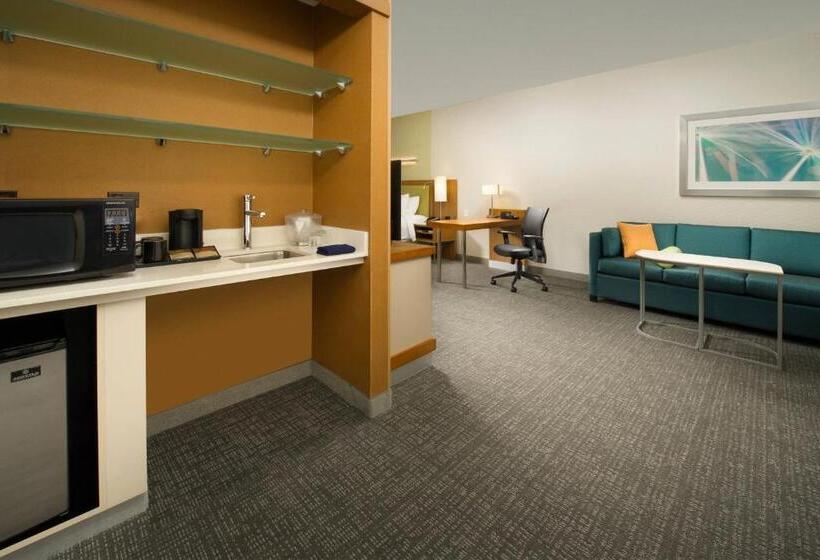 스탠다드 스튜디오 킹침대, Springhill Suites By Marriott Bridgeport Clarksburg