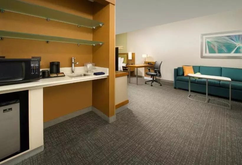 キングサイドベッドのスタンダードワンルーム, Springhill Suites By Marriott Bridgeport Clarksburg