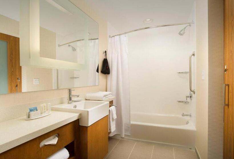 إستوديو قياسى سرير كينج, Springhill Suites By Marriott Bridgeport Clarksburg